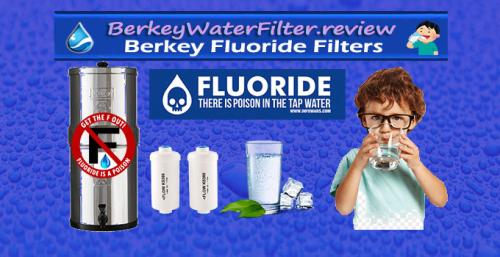 BerkeyWaterFilter.review - Berkey Fluoride Filters