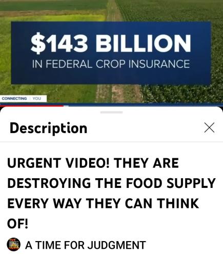 Screenshot_2022-08-20-13-38-06-053_com.google.android.youtube~2