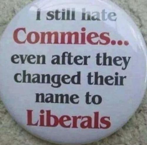 tumblr_bfc57be67ad13a93629233cfe36c2cc9_eef783ce_640