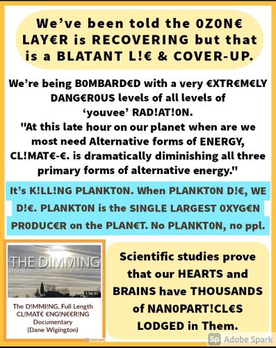 Screenshot_2022-08-09-10-43-19-630_com.google.android.apps.photos~2