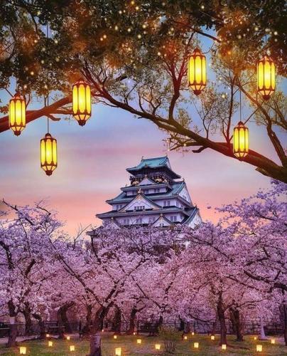 295079672_3278665985737947_1492154951847427748_n