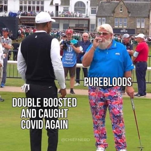 FB_IMG_1660764294750