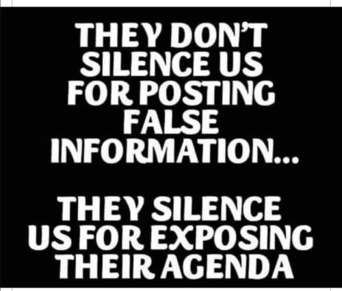 Silenced Us 1