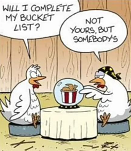 298981980_482082710396344_9023759719930745654_n