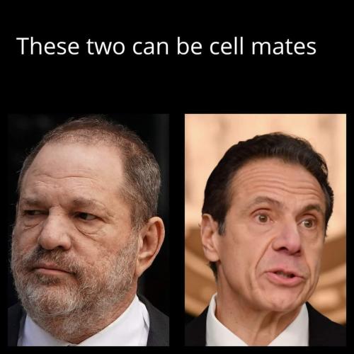 FB_IMG_1631400393371