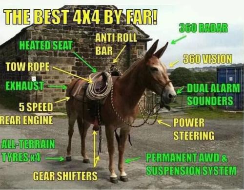 296799585_5150992251614722_8357383958823944383_n