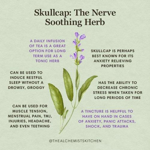 17:36:26 GMT-0500 (CDT)