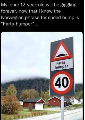 297182077_450595576943548_4502193666900011577_n