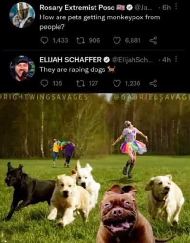 FB_IMG_1660918558359