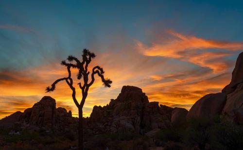 4D4A0442-7433-47B1-BC8D-7525965AFBB2