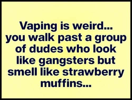 tumblr_019fbd1fb386a9e9a43fe1ebe0739643_24db0b1c_540