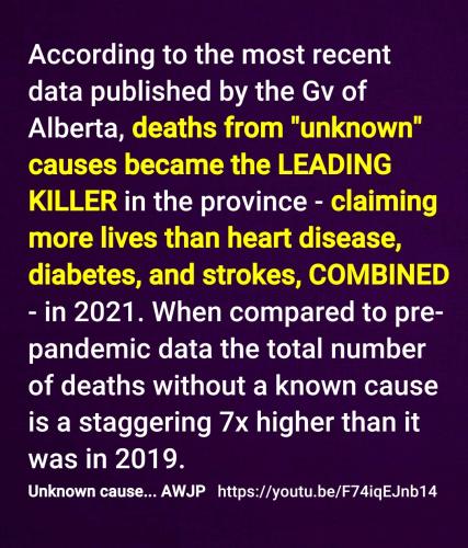 Screenshot_2022-08-22-15-07-09-617_cn.wps.moffice_eng~2