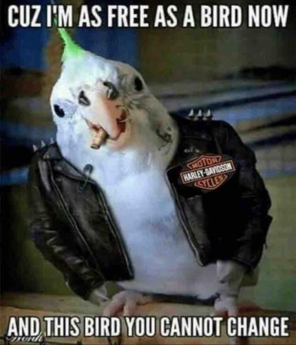 Screenshot_20220822-114454_SoliKick