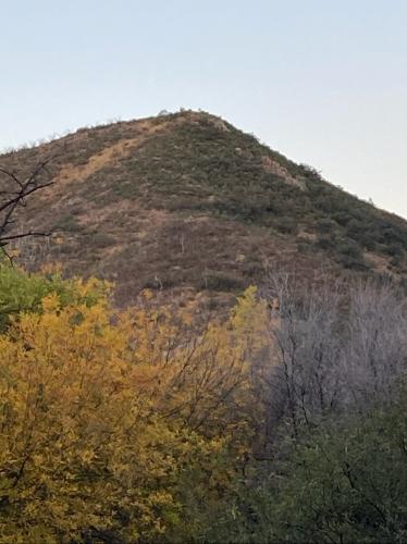 CB3E87D7-F6C5-4B87-A084-BBEB51E4AD13