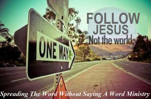 64362906_2379867388762045_5830234442928488448_n