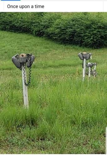 FB_IMG_1661360230243