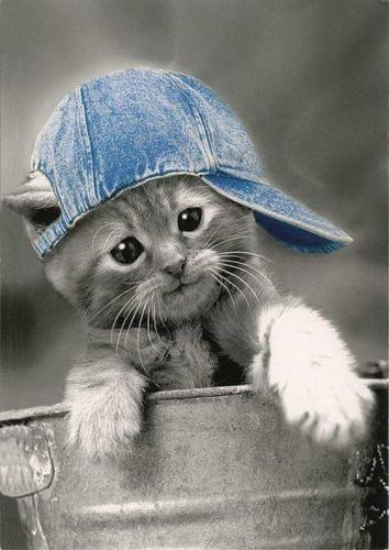 FB_IMG_1645781482063