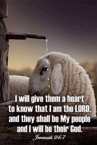 FB_IMG_1659683146329