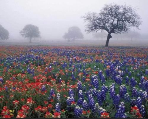 image_B136CB06-474B-4B18-B07B-9D58F98F9261