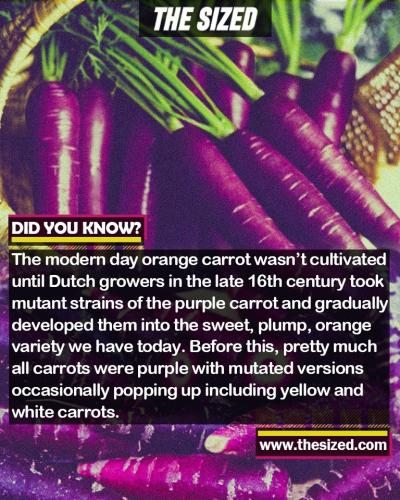 298048047_589596905939964_8384644391313735788_n