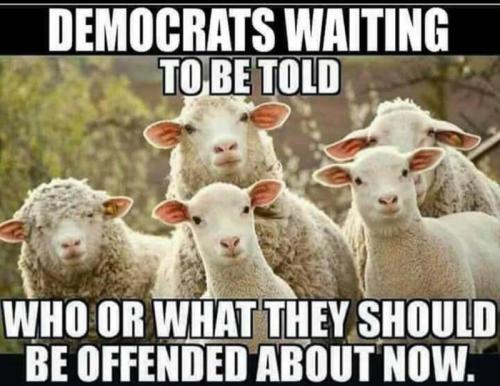 img - 2022-08-15T135326.296