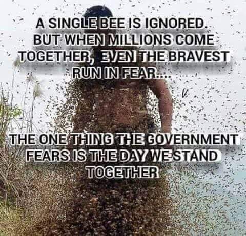 FB_IMG_1660592047857