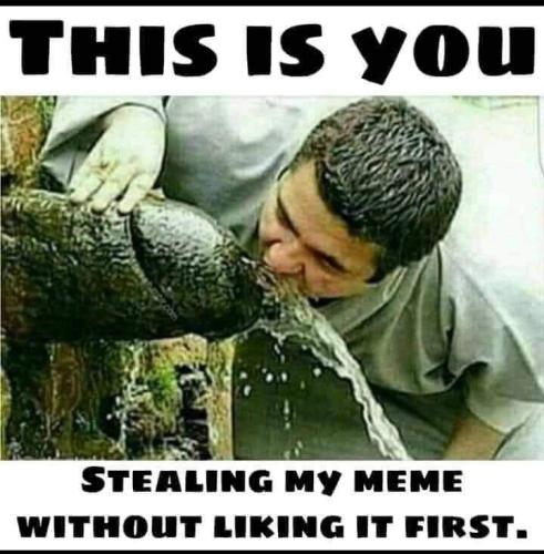 FB_IMG_1661179011280