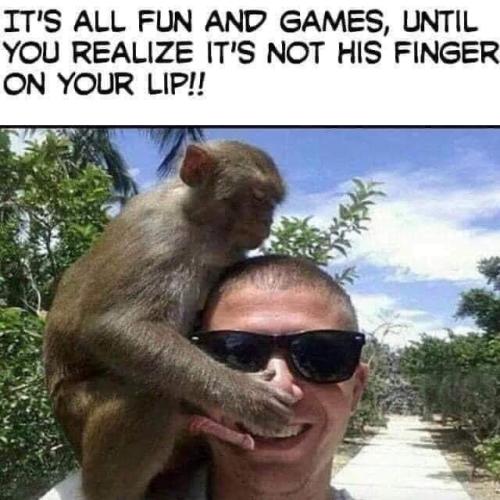 FB_IMG_1660471084445
