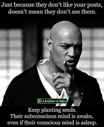FB_IMG_1660834789373