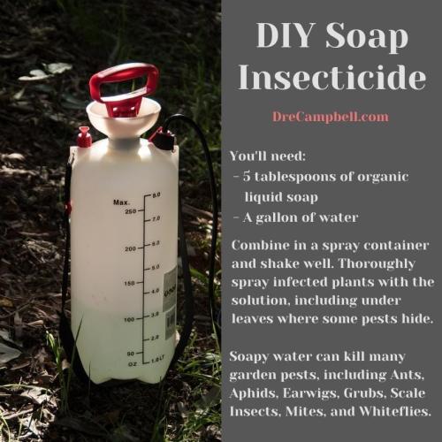 299309327_5094407557355681_5855045588151886107_n