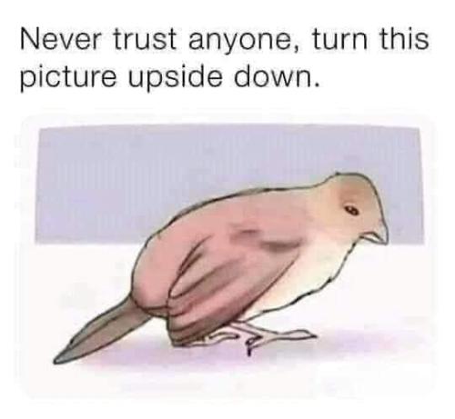 FB_IMG_1660470467010