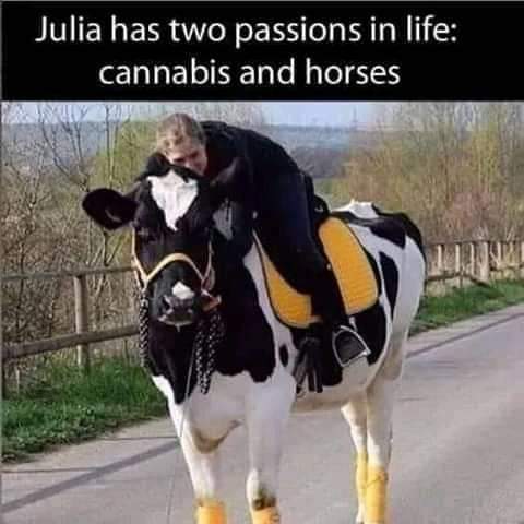 FB_IMG_1661292265116