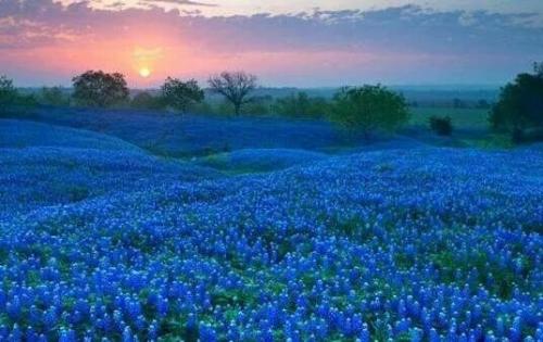 ufZB7U-lPDqOV4YnXt8f2Q