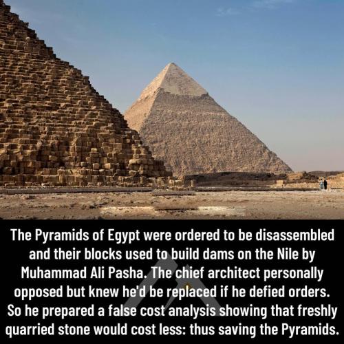 298727000_1707110876323983_3256913112231737222_n