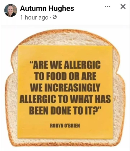 captures_chrome-capture-2022-7-4 (10)