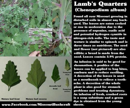 05:51:37 GMT-0500 (CDT)