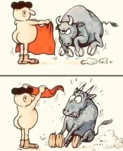 299816375_10223257202671923_2867472316267265493_n