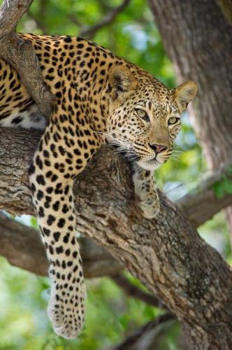 tumblr_f3378e39a5bf5d3d5a64f4df7e86d9de_6882683b_640