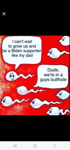 Screenshot_20220805-080017_Wimkin Free Speech Social Media