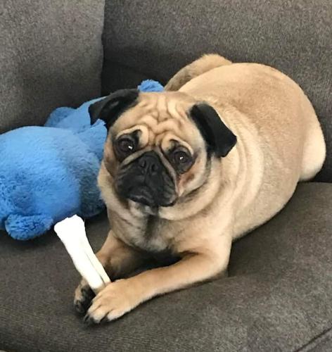 FB_IMG_1661587188015