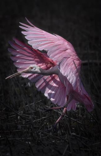 299798930_5718988508163295_7109498466283114883_n