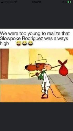 FB_IMG_1659364353669