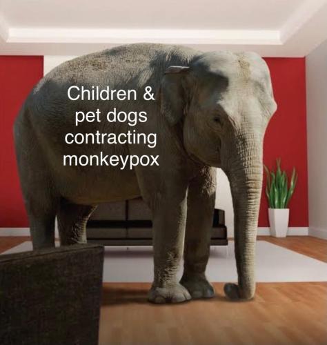 CB944A57-038E-4637-9084-6883B9CB70A4