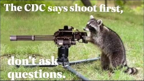FB_IMG_1661104768515