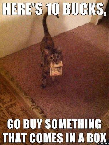 14088439_1089721087732428_1550085105294738120_n