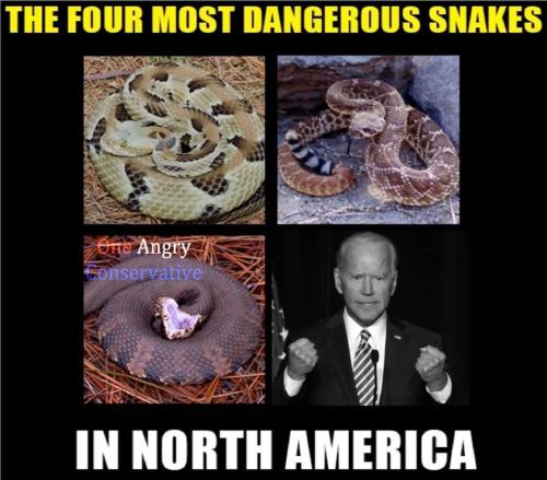 FB_IMG_1646190091777