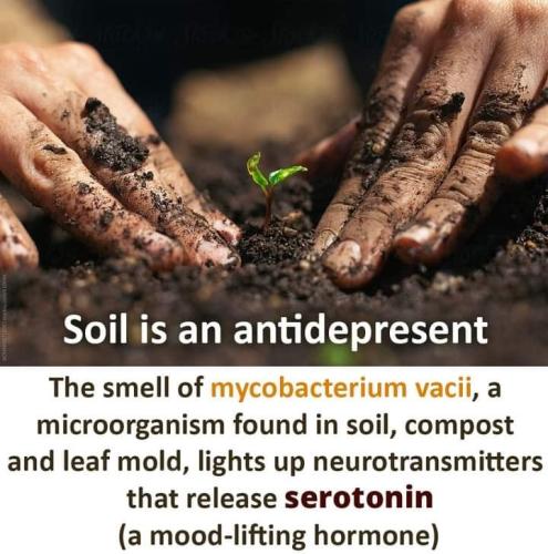 300854693_1127308281217962_2060460286273963887_n