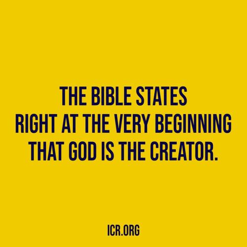 FB_IMG_1659925257683