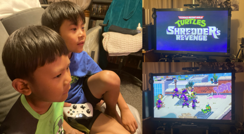 The good ninja turtles