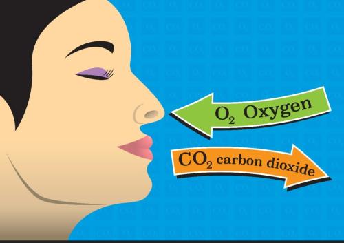 Screenshot_2022-08-09-06-10-42-521_com.duckduckgo.mobile.android~2